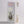 Load image into Gallery viewer, Mouriki - Greek Cretan Oregano (BIO) 50gr