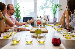 Olive Oil Tasting | Athens