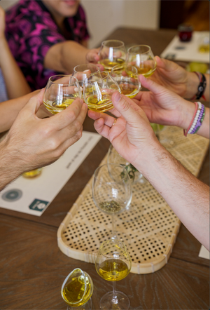 Olive Oil Tasting Athens