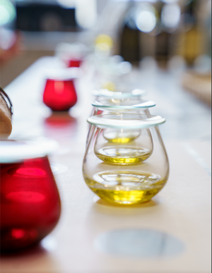 Athens Olive Tasting
