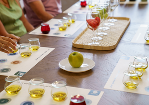 Expérience de dégustation d'huile d'olive à Athènes | Le Showroom Olivest !