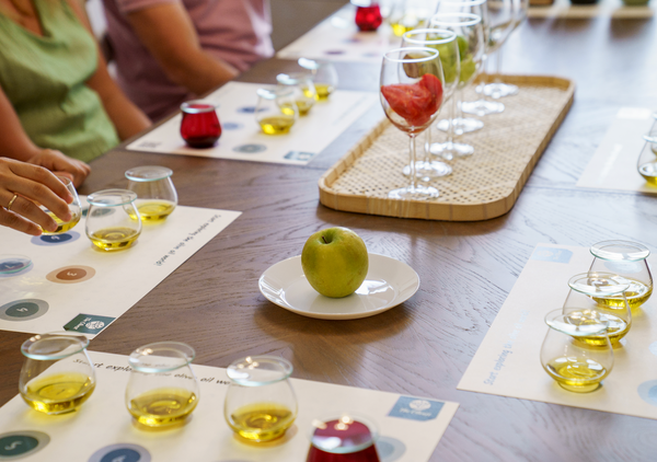 Olive Oil Tasting Experience in Athens - The Olivest Showroom!