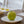 Load image into Gallery viewer, Olive Oil Tasting Experience in Athens - The Olivest Showroom!
